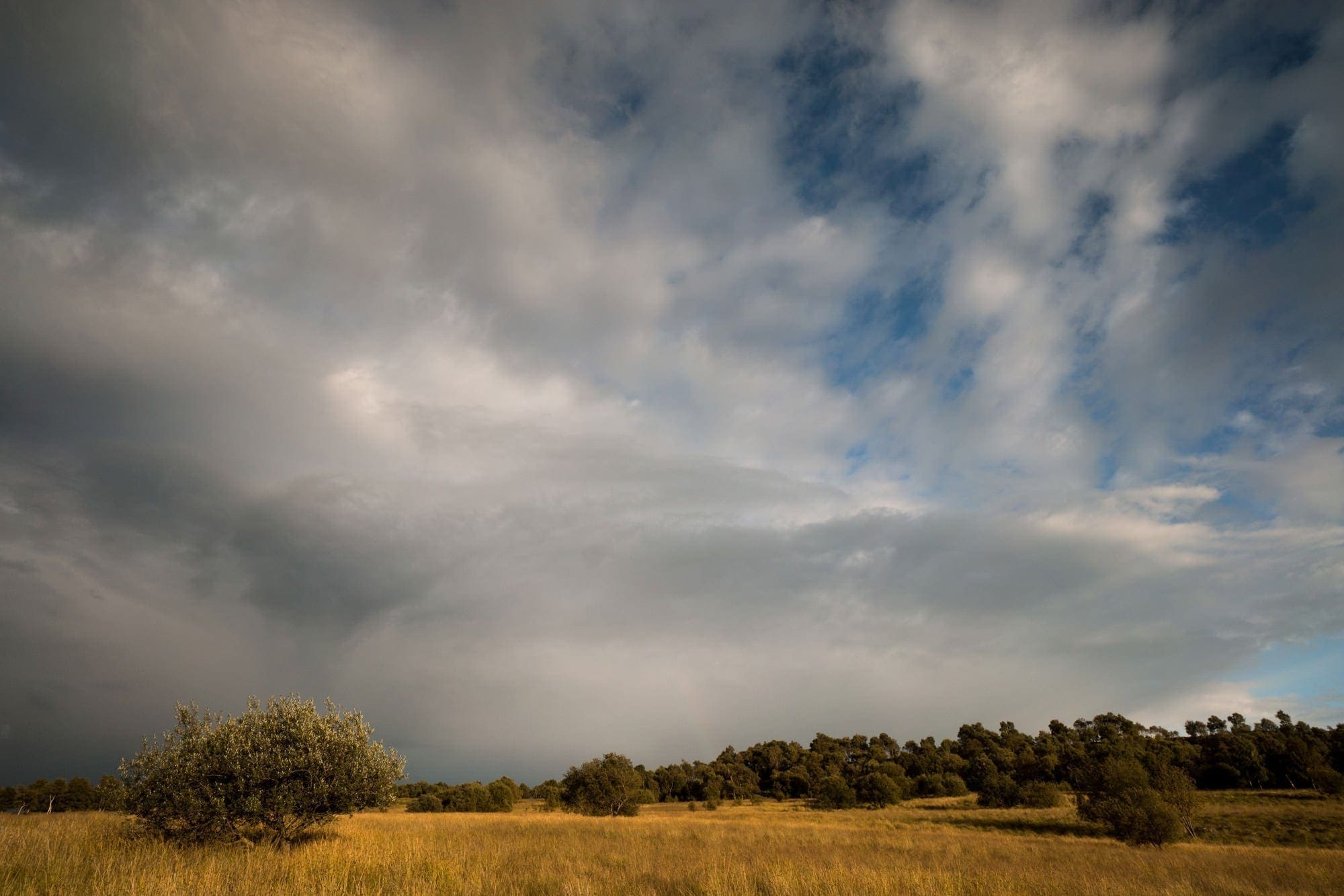 Birchen Edge Stormy Skies - Gritstone Edges Peak District Photography Workshop