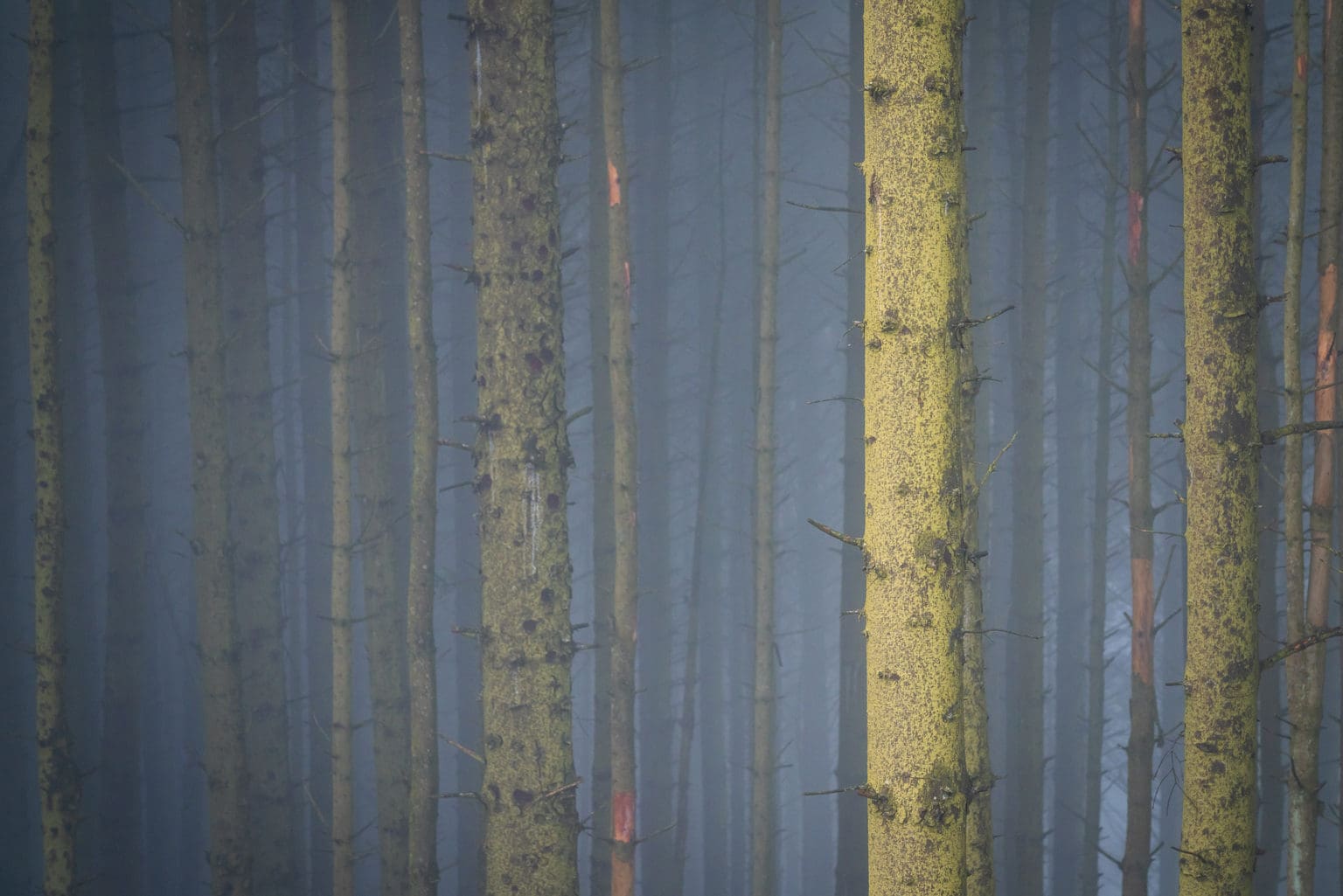 Macclesfield Forest – Peak District Photography