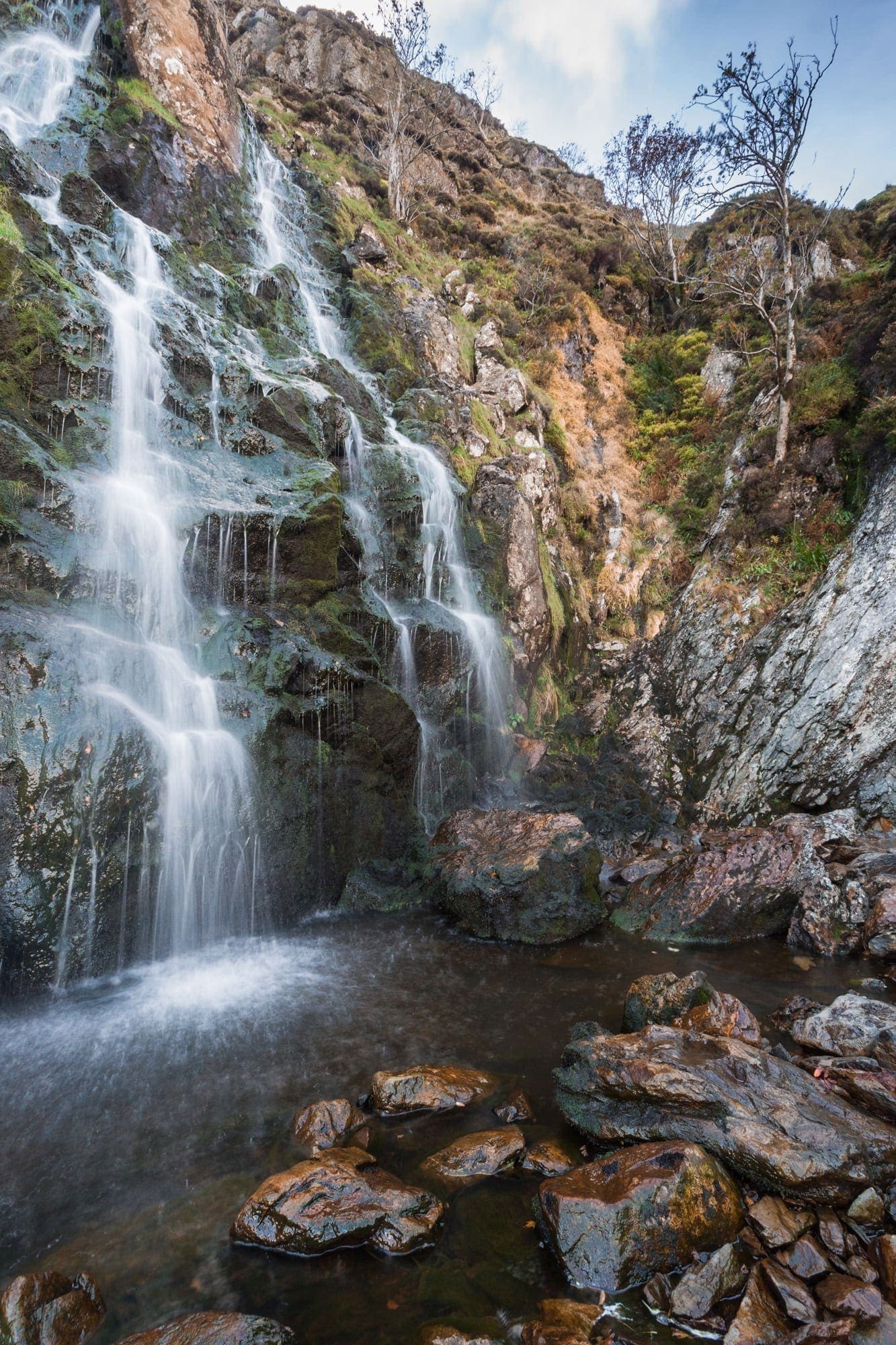 Moss Force - Lake District Photography