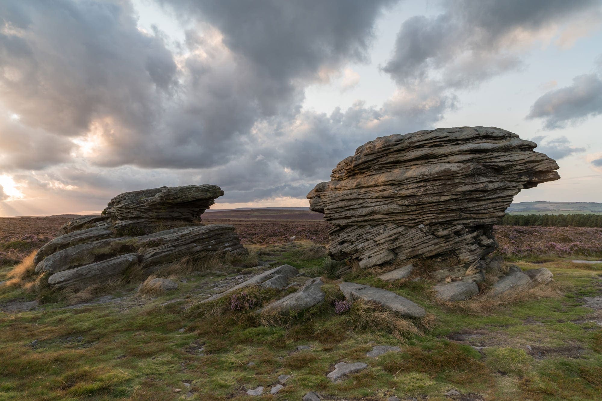 Ox Stones - Burbage Moor - Peak District Photography