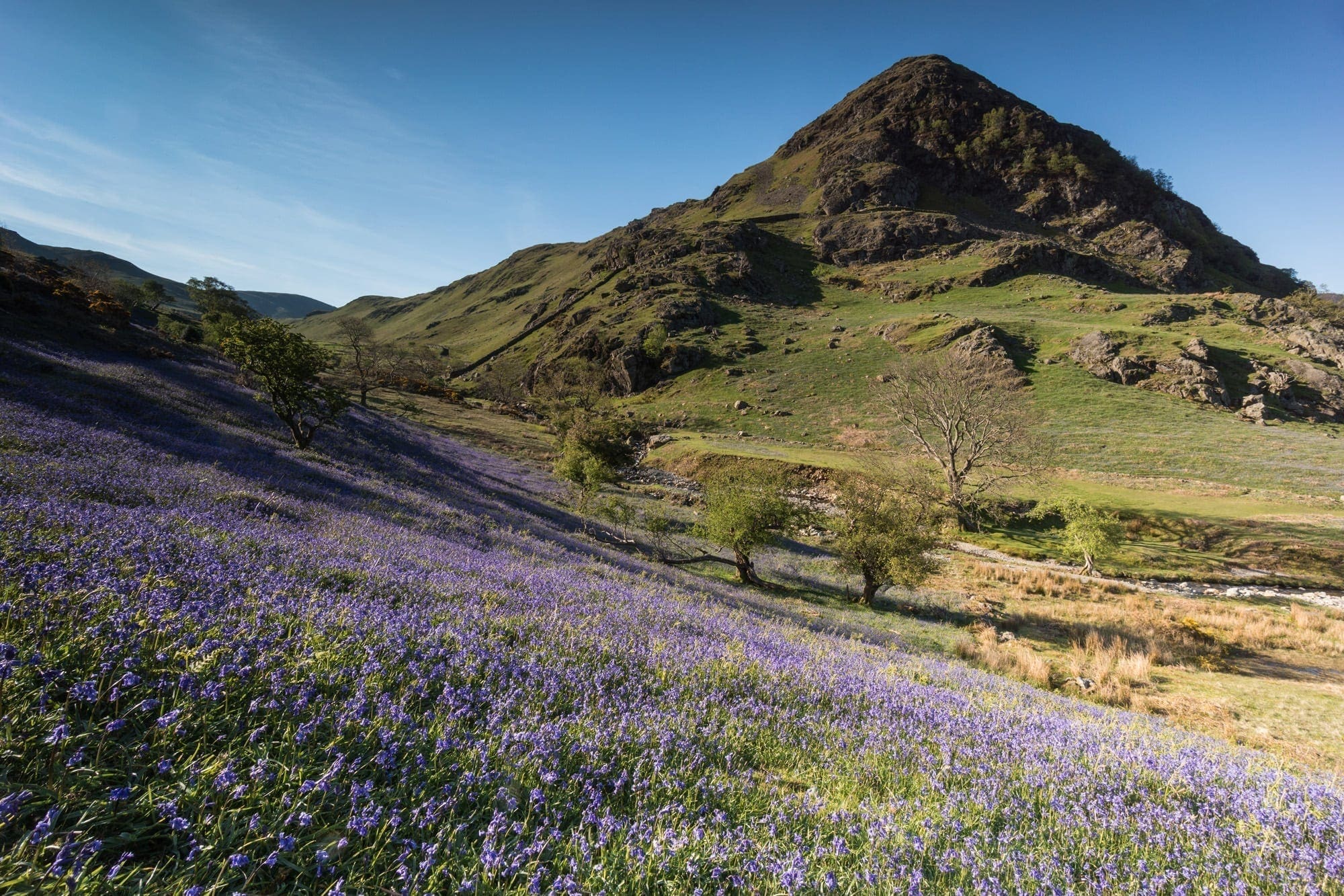 Rannerdale Bluebells - Lake District Photography