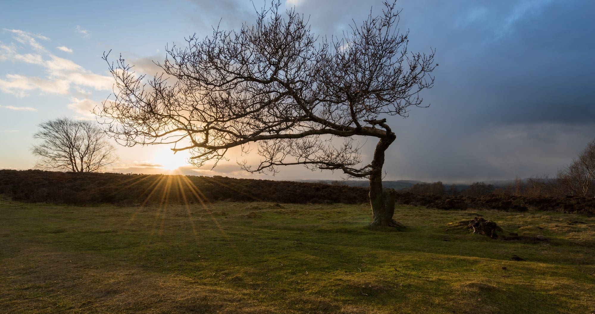 Stanton Moor Leaning Tree - Peak District Photography