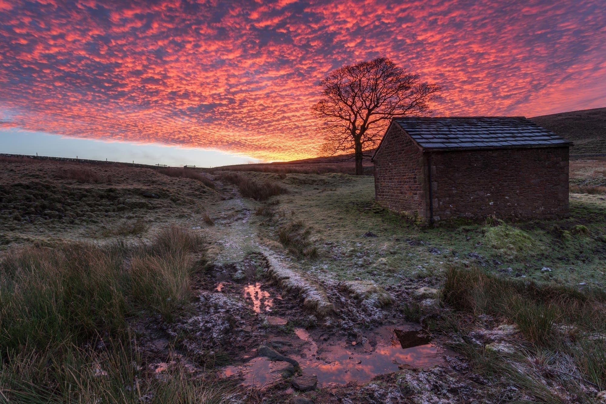 Wildboarclough Barn Fiery Sunrise - Peak District Photography