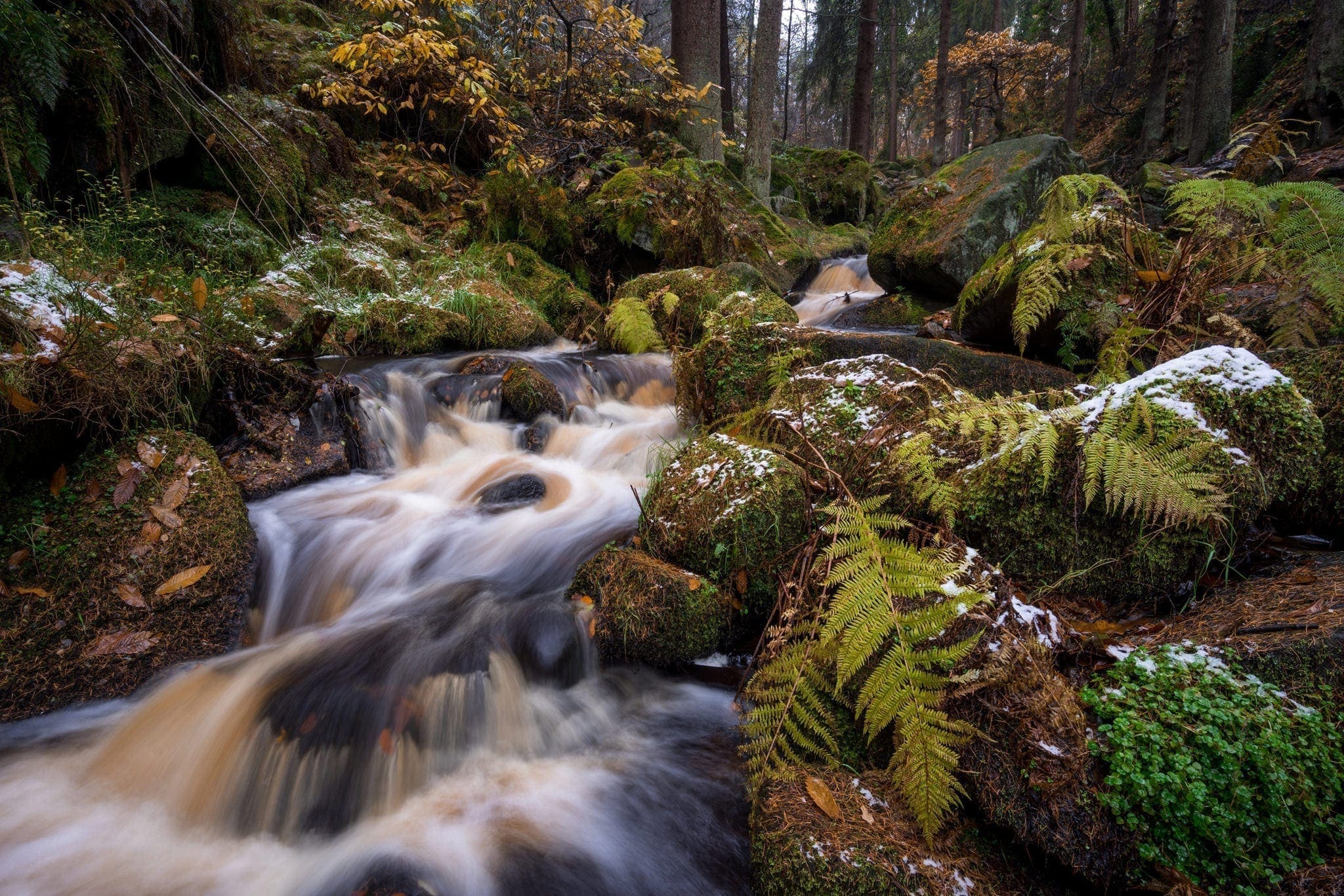 Wyming Brook Autumn Snow - Peak District Photography