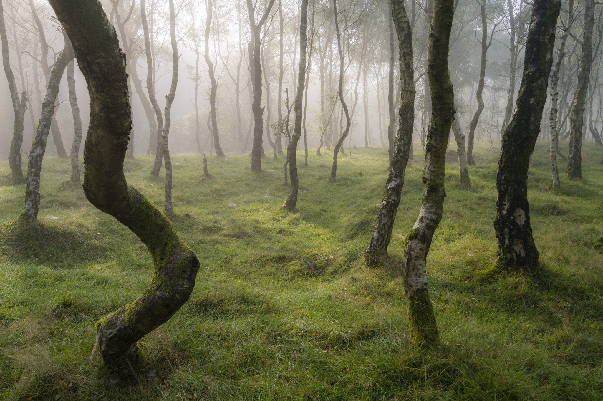 Bolehill Fog - Gritstone Edges Peak District Photography Workshop