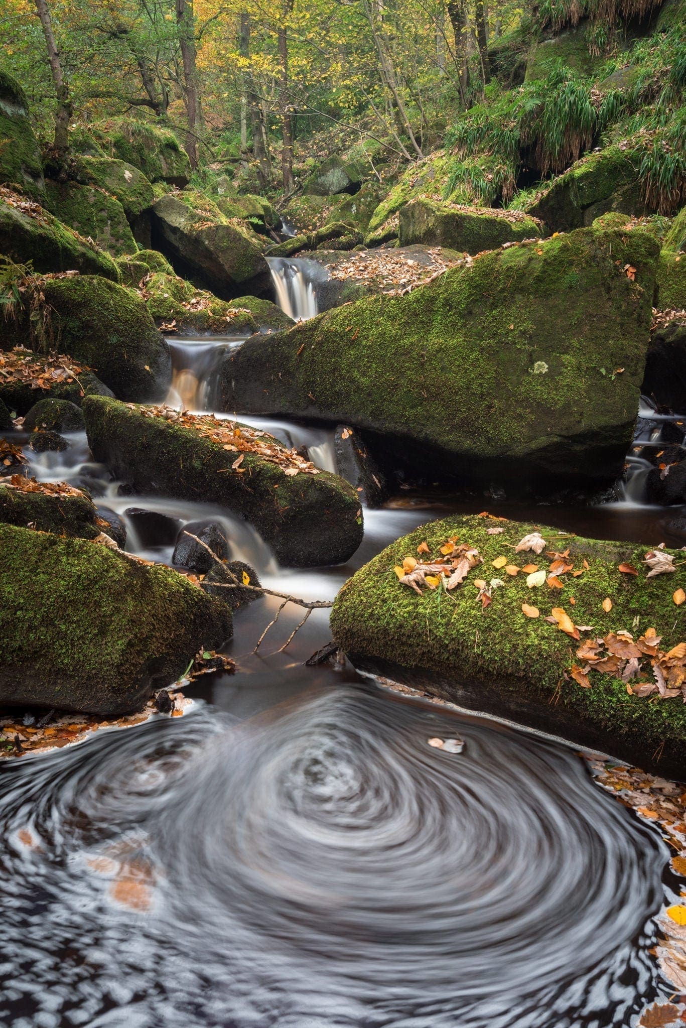 Padley Gorge Whirlpool - Gritstone Edges Peak District Photography Workshop