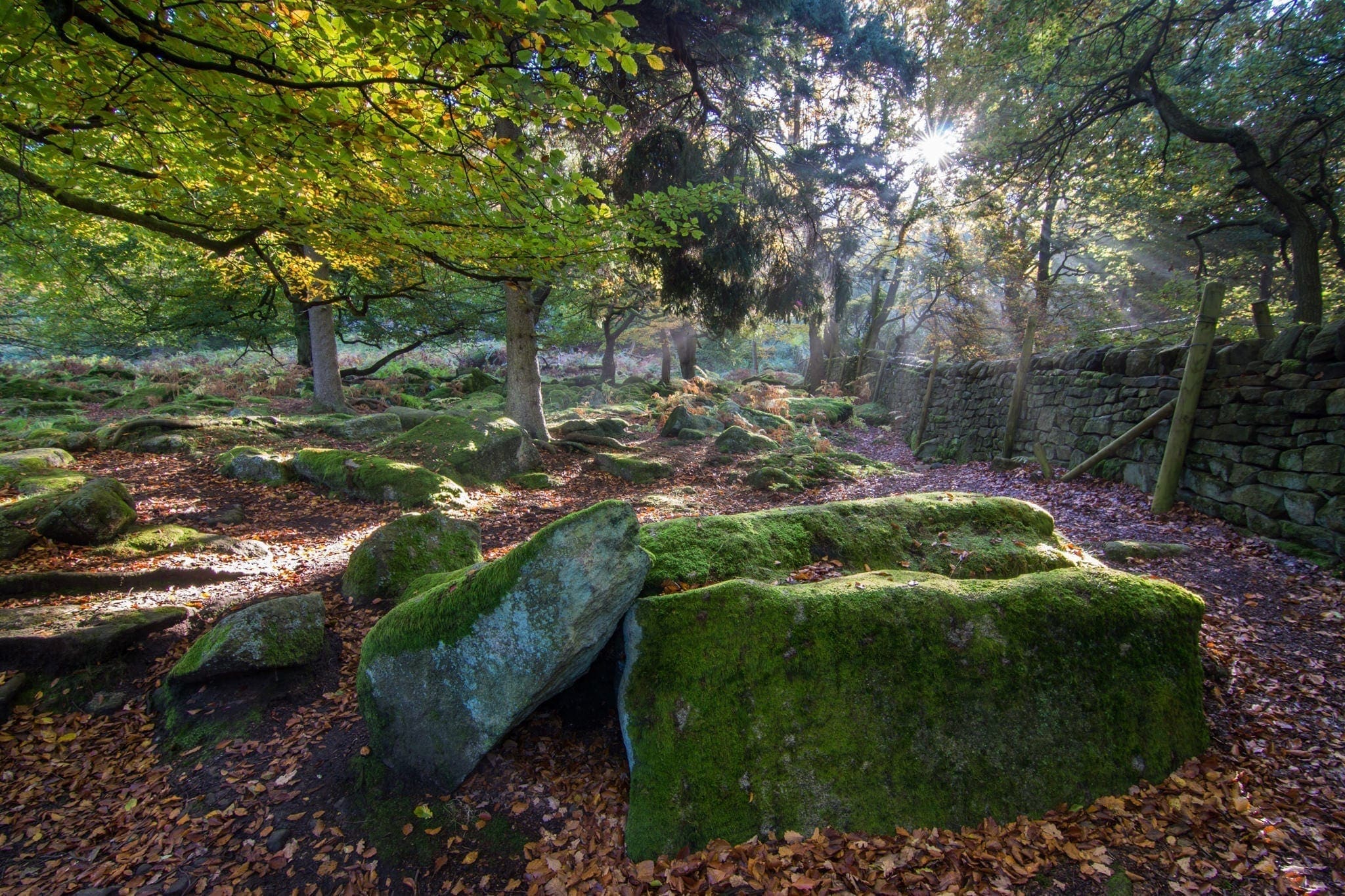 Padley Gorge Mist Rays - Gritstone Edges Peak District Photography Workshop